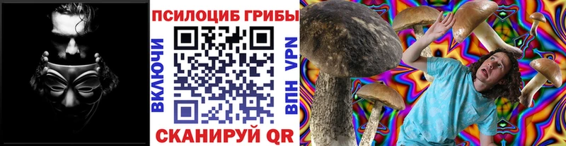 Галлюциногенные грибы Psilocybine cubensis  kraken зеркало  Верхоянск  где продают  